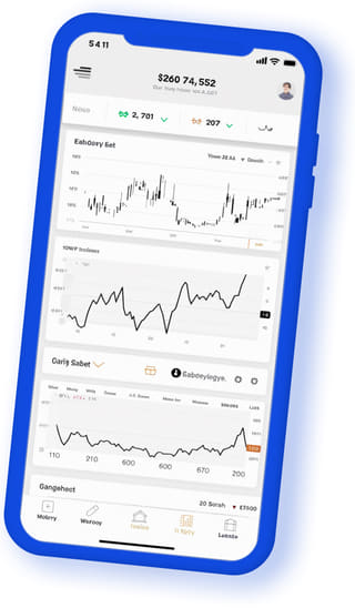 Storm Ledgics digital web application on mobile device